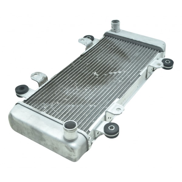 Radiador Água Kawasaki Ninja 300 13-18 Original