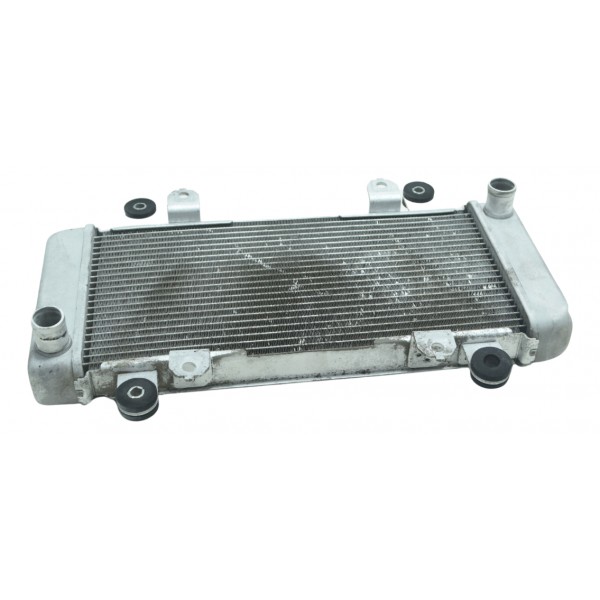 Radiador Água Kawasaki Ninja 300 13-18 Original