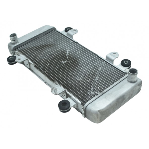 Radiador Água Kawasaki Ninja 300 13-18 Original