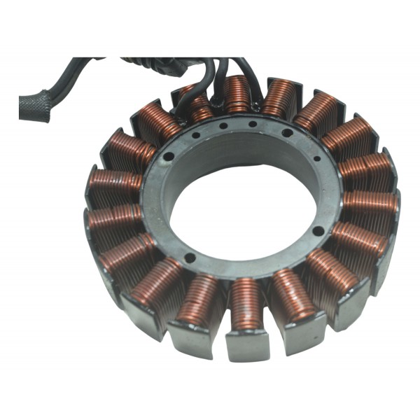 Estator Harley Electra Glide Cvo 110 12-13 Original