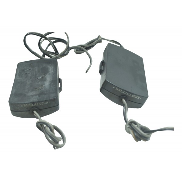 Par Modulo Som Harley Electra Glide Cvo 110 12-13 Original