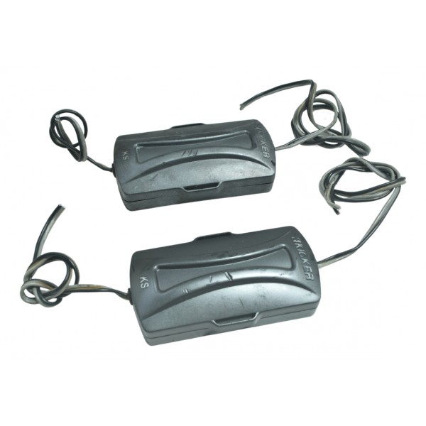 Par Modulo Som Harley Electra Glide Cvo 110 12-13 Original