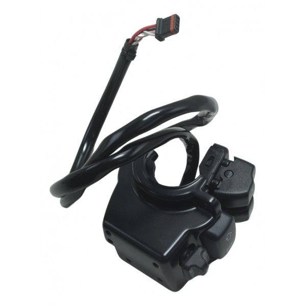 Chave Luz Harley Davidson Softail Cruise Control Original