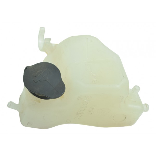 Reservatório Água Harley Electra Glide Touring 17-19 Orig