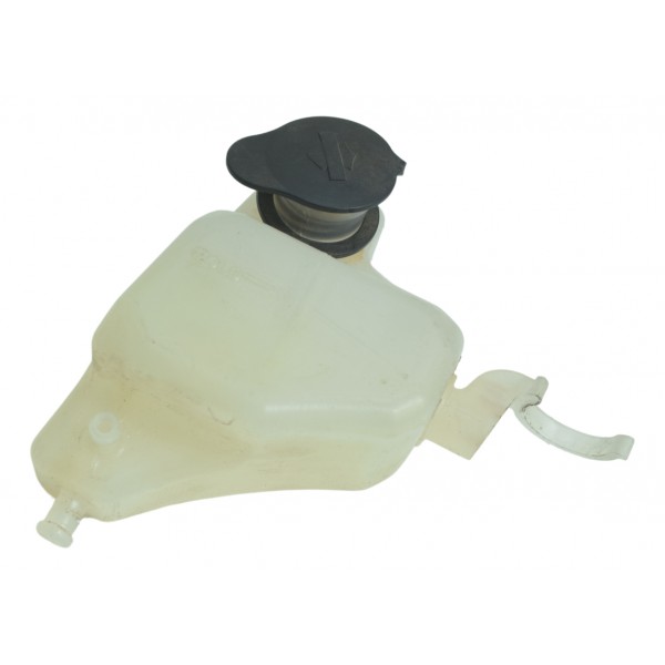 Reservatório Água Harley Electra Glide Touring 17-19 Orig