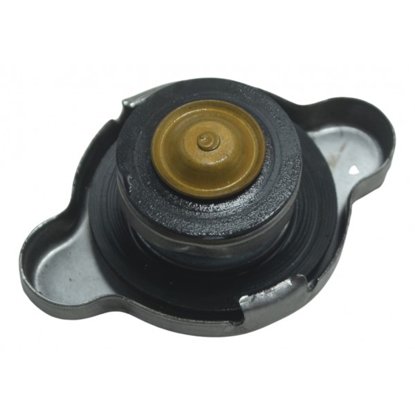 Tampa Radiador Harley Electra Glide Touring 17-19 Original