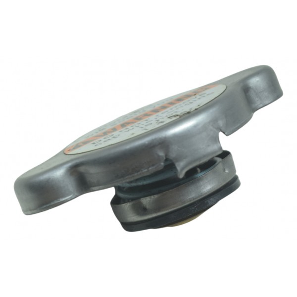 Tampa Radiador Harley Electra Glide Touring 17-19 Original