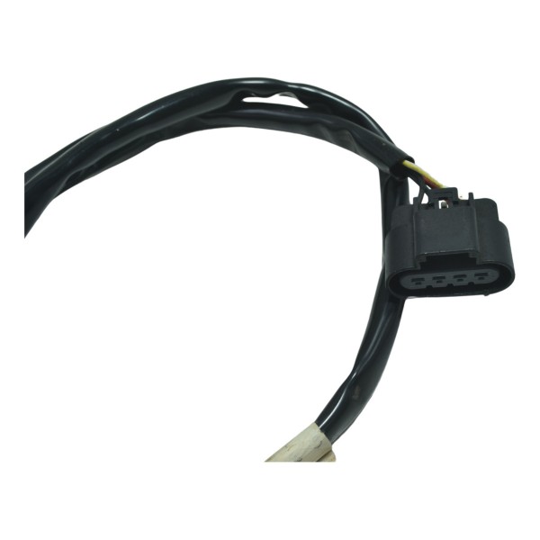 Chicote Bomba Combustível Harley Electra Glide Touring 17-19