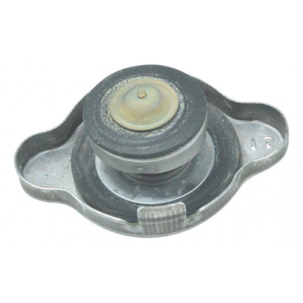 Tampa Radiador Bmw G 310 Original