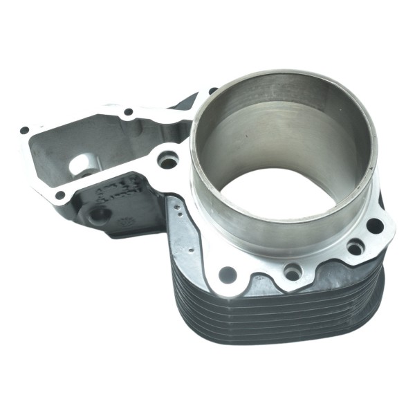 Cilindro Motor Esquerdo Bmw R 1200 09-12 Original