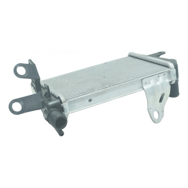 Radiador Esquerdo Bmw R1200 R 1200 Gs 13-15 Original