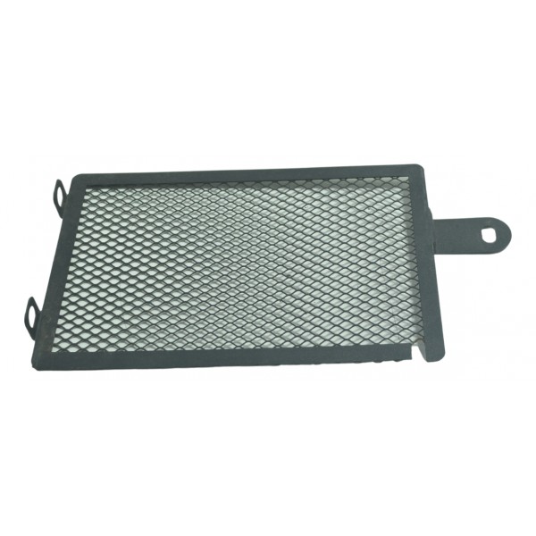 Grade Radiador Esquerdo Bmw R1200 R 1200 Gs 13-15 Original Preto