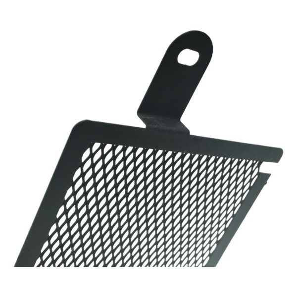 Grade Radiador Esquerdo Bmw R1200 R 1200 Gs 13-15 Original Preto